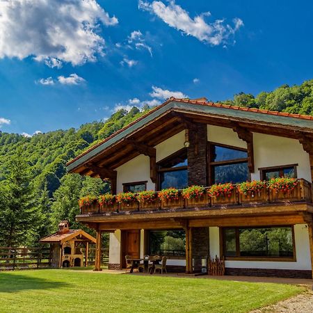 Villa Avalanche Plaiul Foii Zărneşti Exterior foto