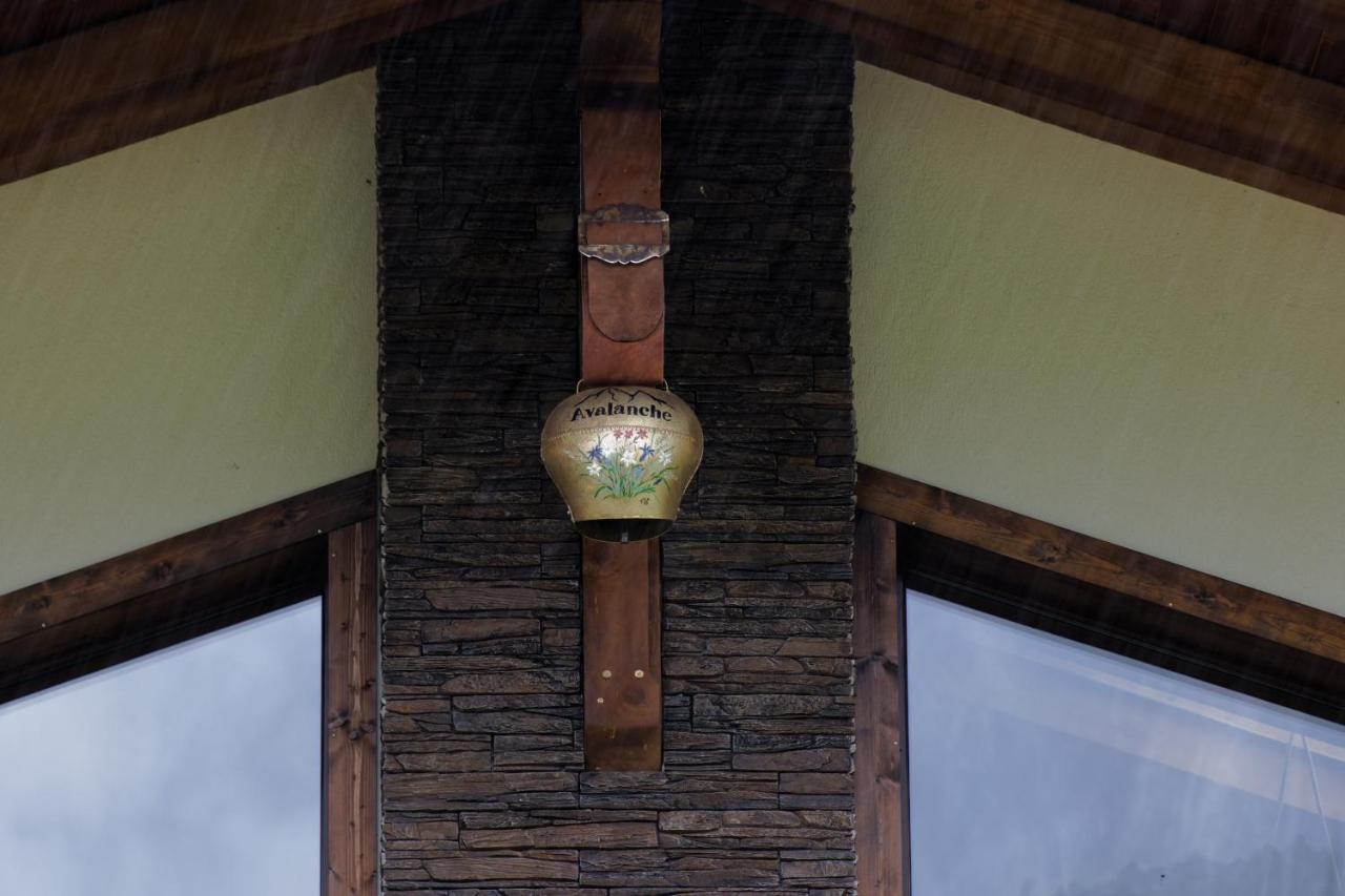 Villa Avalanche Plaiul Foii Zărneşti Exterior foto