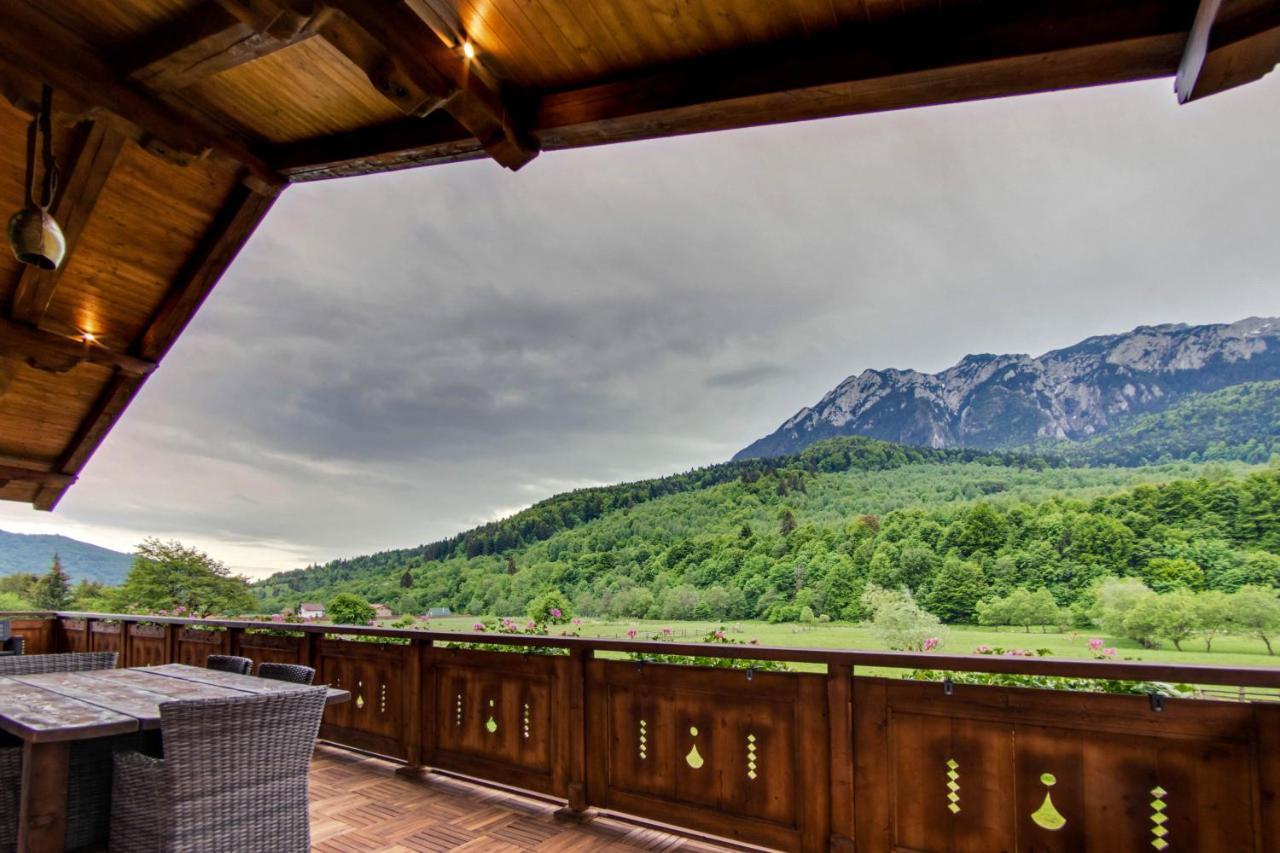 Villa Avalanche Plaiul Foii Zărneşti Exterior foto