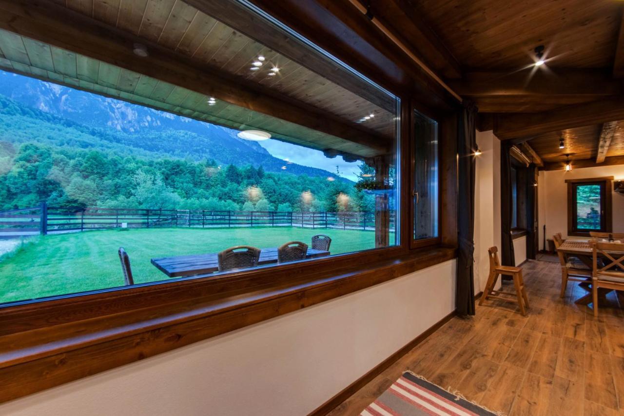Villa Avalanche Plaiul Foii Zărneşti Exterior foto